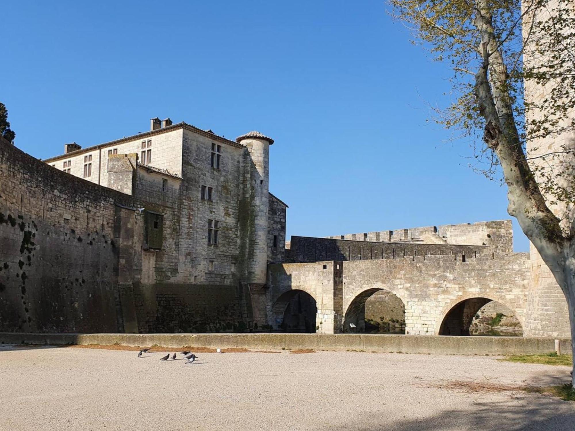 Maison Cosy, 2 Chambres, Adossee Aux Remparts Aigues-Mortes Ngoại thất bức ảnh